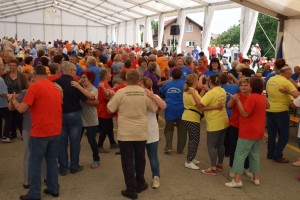 Županijski susret umirovljenika 16.06.2018 (218)