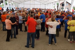 Županijski susret umirovljenika 16.06.2018 (219)