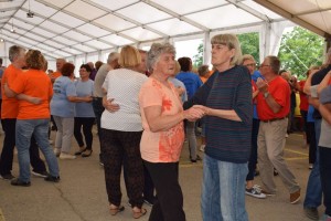 Županijski susret umirovljenika 16.06.2018 (221)