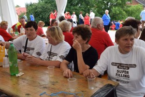 Županijski susret umirovljenika 16.06.2018 (229)