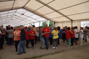 Županijski susret umirovljenika 16.06.2018 (230)