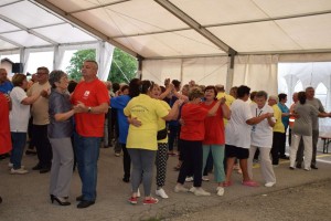 Županijski susret umirovljenika 16.06.2018 (231)