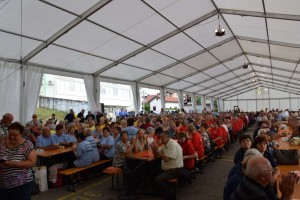 Županijski susret umirovljenika 16.06.2018 (44)