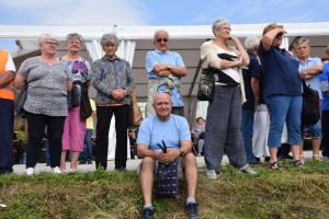 Županijski susret umirovljenika 16.06.2018 (76)