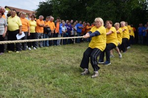 Županijski susret umirovljenika 16.06.2018 (89)