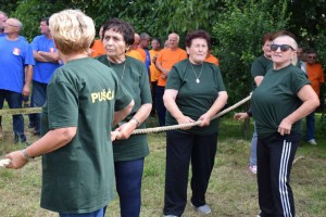 Županijski susret umirovljenika 16.06.2018 (91)