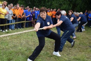Županijski susret umirovljenika 16.06.2018 (98)